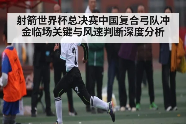 射箭世界杯总决赛中国复合弓队冲金临场关键与风速判断深度分析（kaiyun）